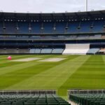 cricket wickets
