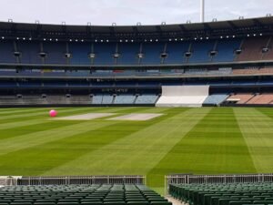 cricket wickets